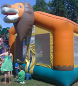 Lion King bouncy castle